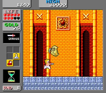 Wonder Boy in Monster Land screen shot game playing